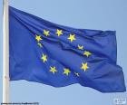 Mavi bir arka planda bir daireye düzenlenen on iki altın yıldız da Avrupa bayrağı oluşur. Arsène Heitz tarafından 1955 yılında tasarlanmış